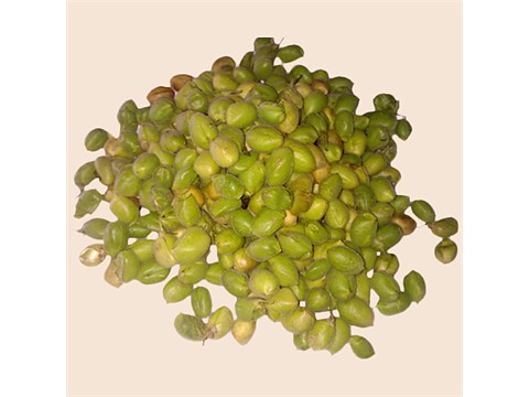 fresho! Hari boot, 1 kg