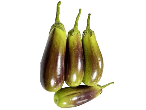 fresho! Long Brinjal/Begun - Green, Purple, 1 kg