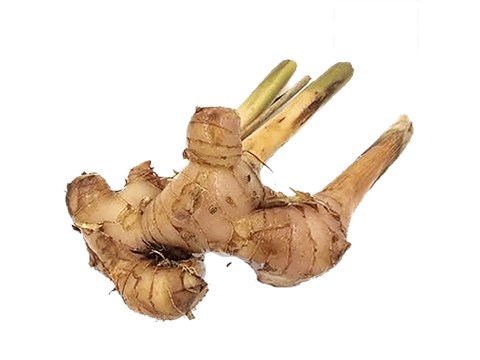 fresho! Thai Ginger, 100 g
