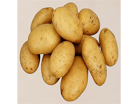 fresho! Jyoti Potato, 5 kg