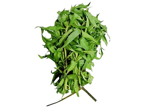 fresho! Hygrophila Spinosa - Kulekhara, 500 g