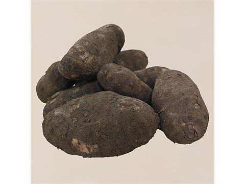 fresho! Pidi Karanai, 500 g