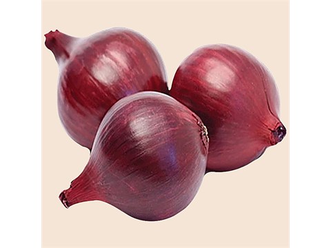fresho! Onion - Local / Economy, 1 kg