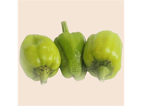 fresho! Bhavnagari Chilli, 500 g