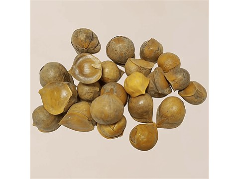fresho! Kashmiri Garlic, 1 kg