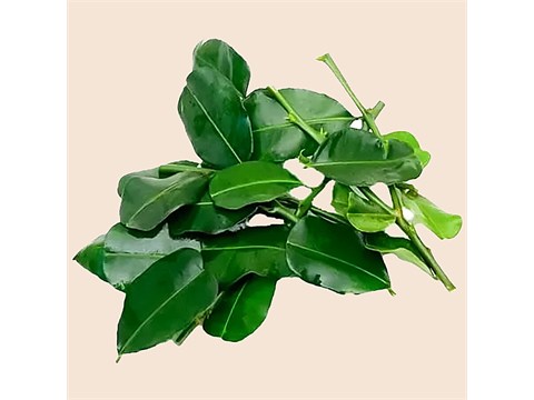 fresho! Kaffir Lime Leaves, 50 g