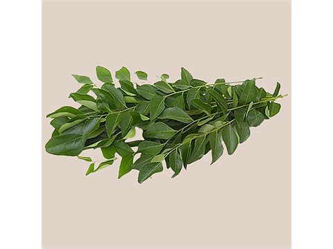 fresho! Curry Leaves, 1 pc