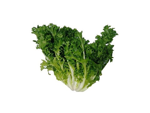 fresho! Endives, 1 pc