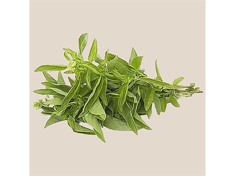 fresho! Basil - Italian, Premium, Institutional, 1 kg