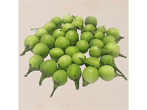 fresho! Pea Eggplant / Sundaikai, 100 g