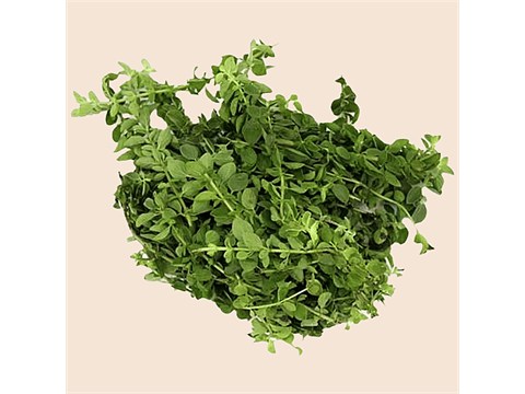fresho! Oregano, 100 g