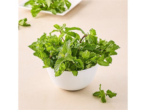fresho! Mint Leaves - Cleaned, without roots, 250 g