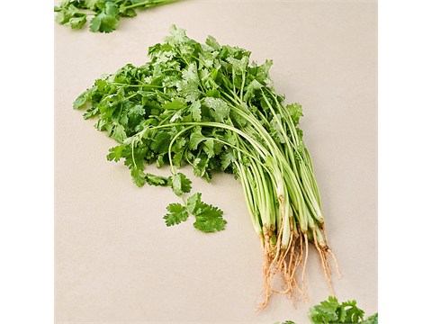 fresho! Coriander Leaves With Roots, 1 kg