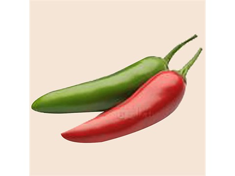 fresho! Jalapeno Chilli, 100 g