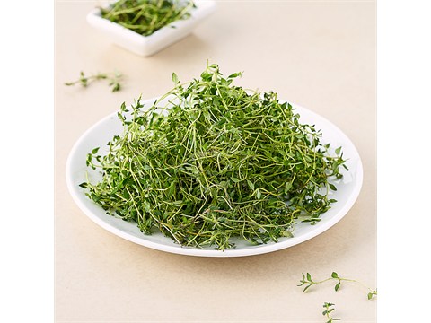 fresho! Thyme, 50 g