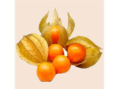 fresho! Golden Berry - Organically Grown, 125 g