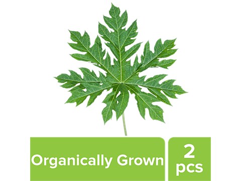 fresho! Papaya Leaf - Organically Grown, 2 pcs