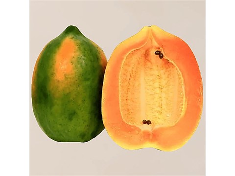 fresho! Papaya - Organically Grown, 1 pc
