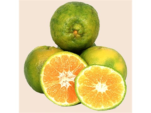 fresho! Orange - Organically Grown, 500 g