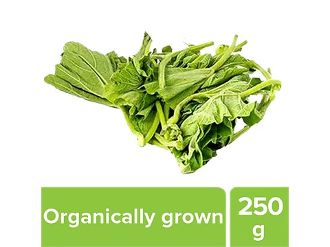fresho! Bottle Gourd Leaves (Lauki Saag) - Organically Grown, 250 g