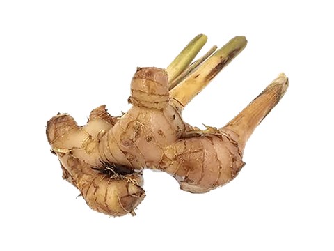 fresho! Thai Ginger/Galangal - Organically Grown, 100 g