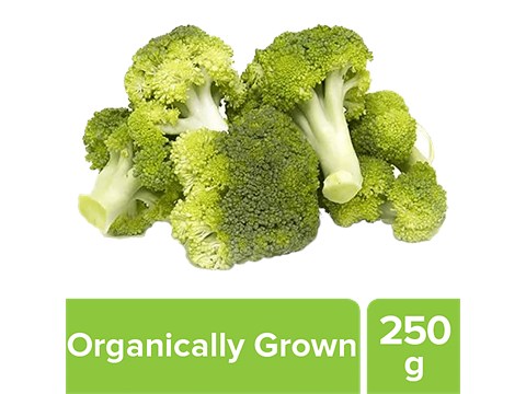 fresho! Broccoli - Organically Grown, 1pc