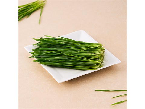 fresho! Wheat Grass - Organically Grown, 20 g
