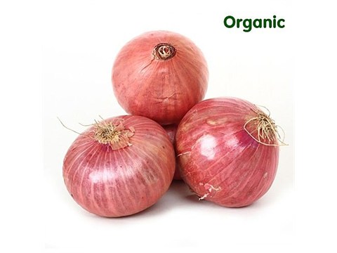 fresho! Onion Bulk, 1 kg