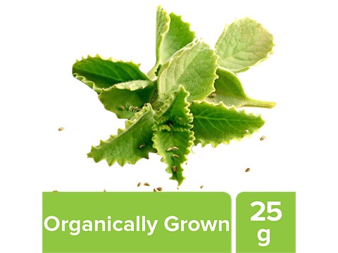 fresho! Ajwain Leaves - Organically Grown, 25 g