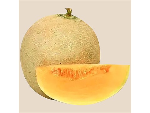 fresho! Muskmelon - Organically Grown, 1 pc