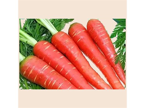 fresho! Carrot - Organically Grown, Red, 1 kg