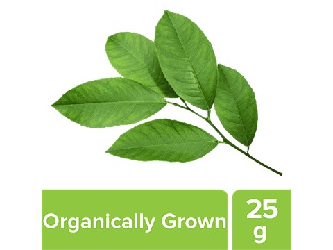fresho! Lemon Leaves Gondhoraj - Organically Grown, 25 g