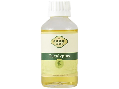 Malabar Coast Pure Eucalyptus Oil, 100g