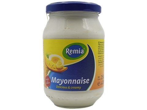 Remia Delicious & Creamy Mayonnaise, 241 g