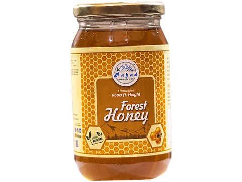 Pahad Ki Sanjeevni Forest Honey, 500 g
