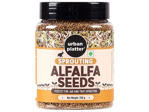 Urban Platter Alfalfa Seeds, 250 g