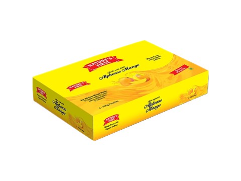 Nature's First Festive Gift Pack - Alphonso Mango Puree With Organic Saffron & Added Sugar, 300 g