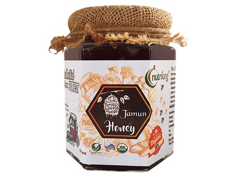 Nutriorg Certified Organic Jamun Honey, 250 g